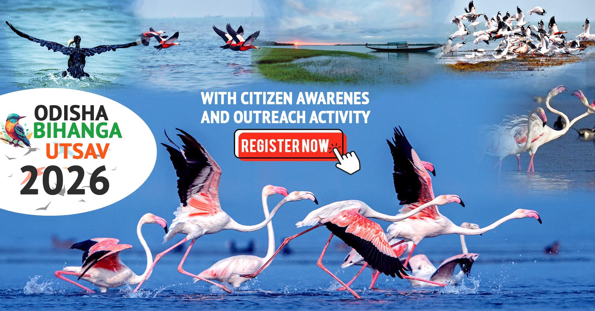Chilika Birding Festival